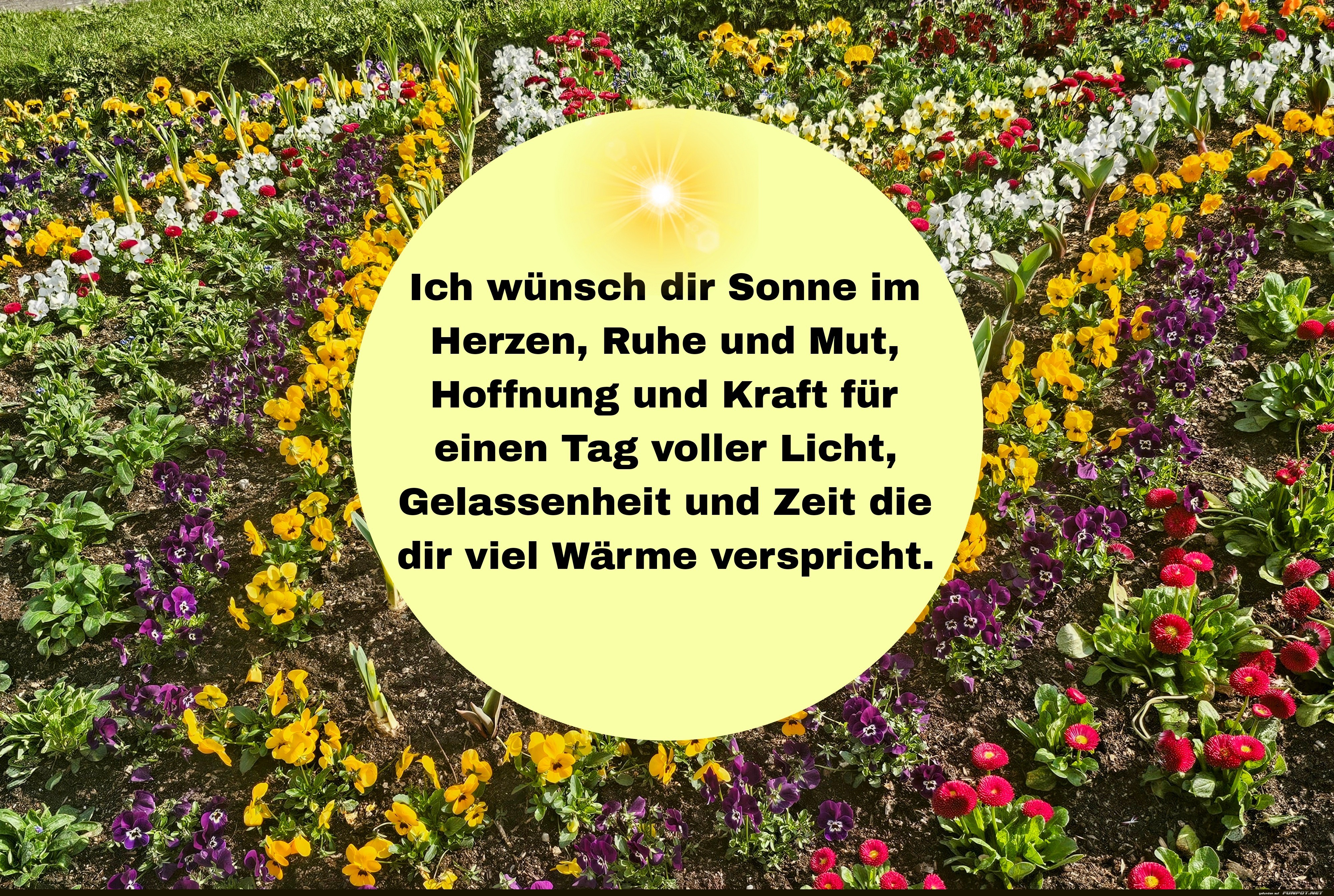 ich w�nsch dir sonne