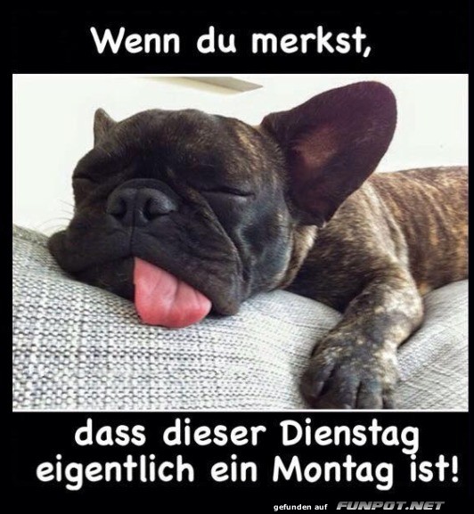 Montagsgef�hle am Dienstag