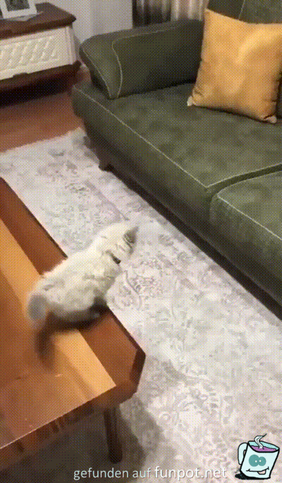 Lustiger Sprung
