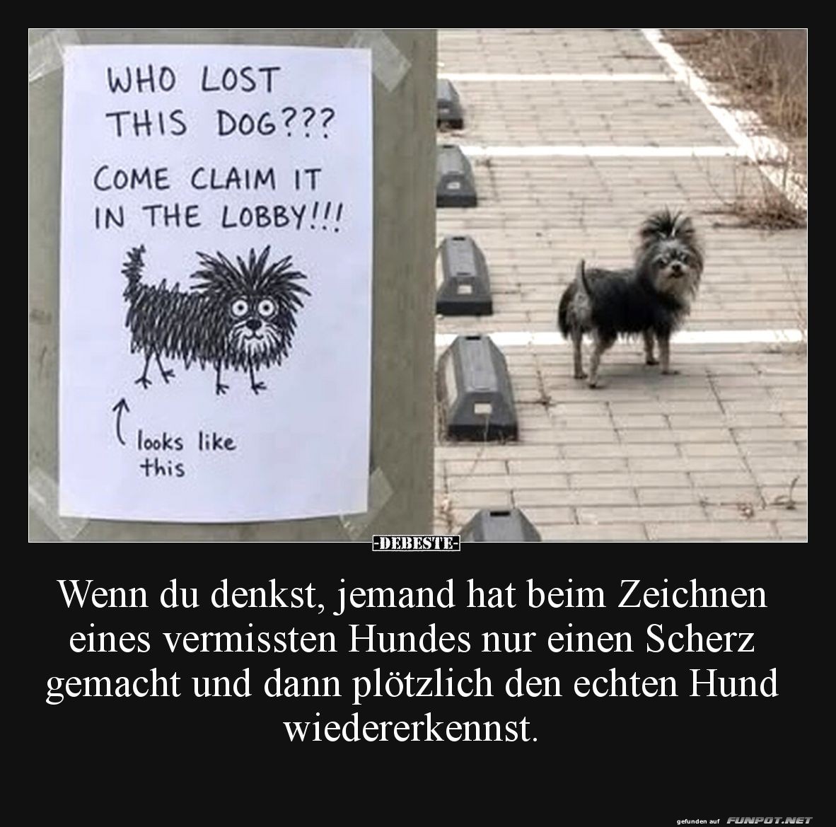 Der perfekte Fund: Zeichnung wird Realit�t