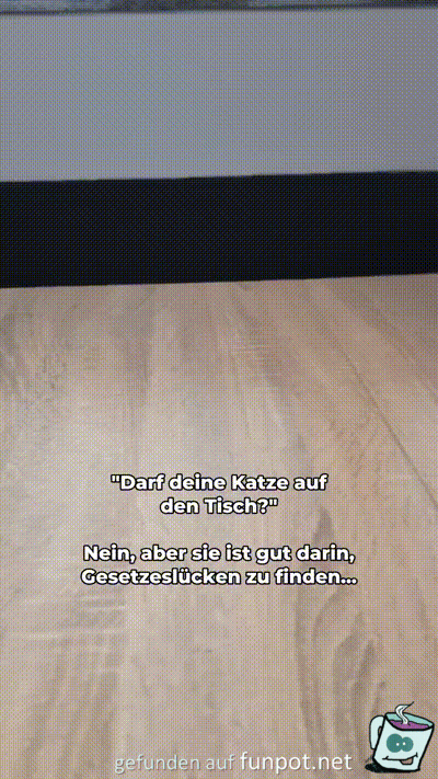 Typisch Katze Typisch Katze