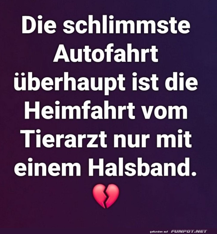 Warum Halsb�nder allein nicht tr�sten k�nnen