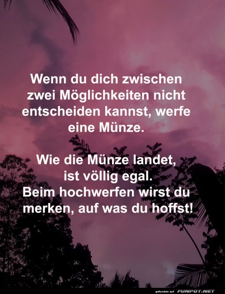 Der M�nzentscheidungshelfer!