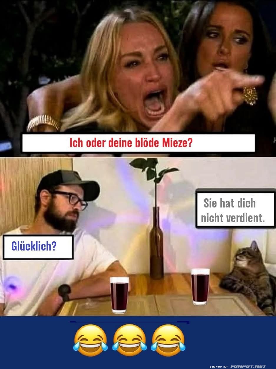 Die ewige Katze-Mensch-Debatte!