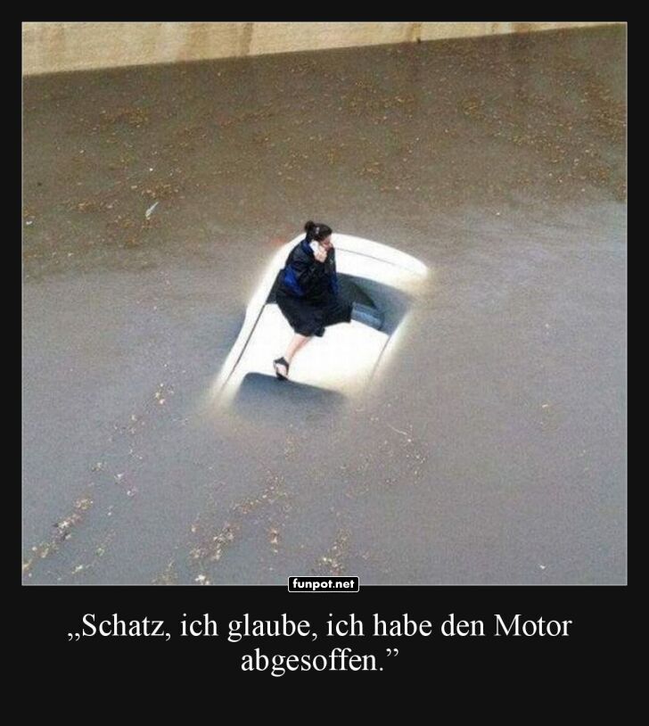 Wenn Autofahren zum Bootsausflug wird