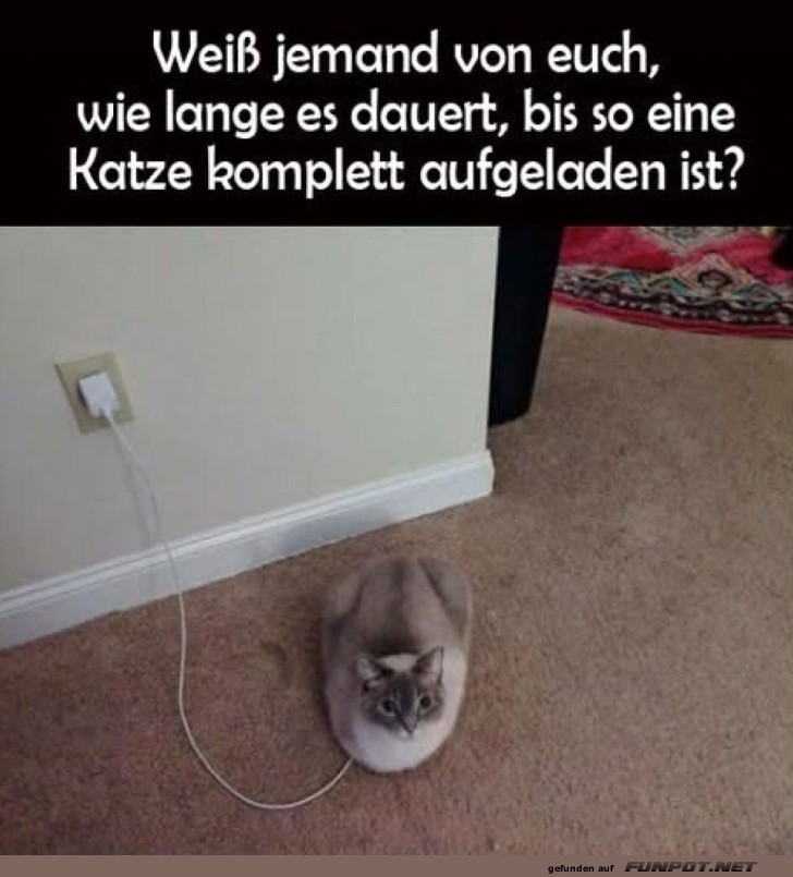 Aufladung der Flauschbatterie!