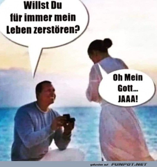 Willst du mein Leben zerstören?