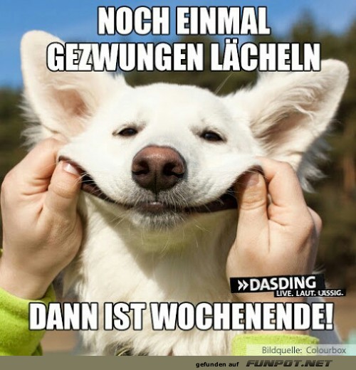L�cheln