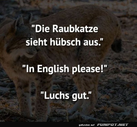Luchs des Wortspiels!