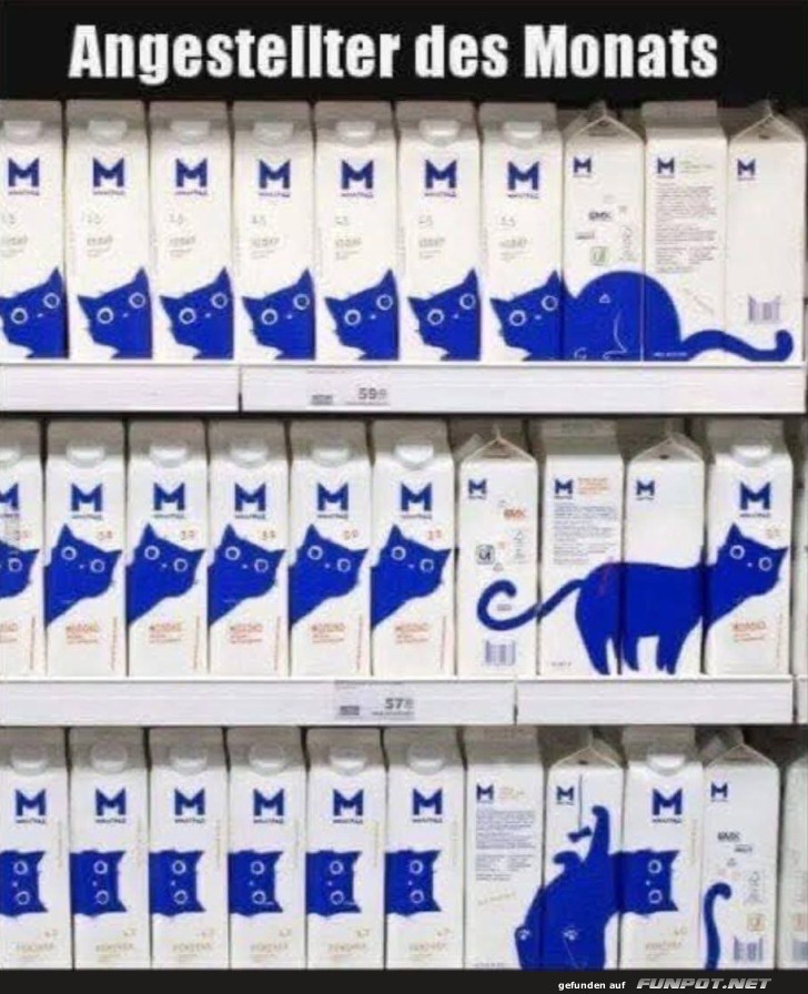 Der Katzen-Flausch im Milchregal