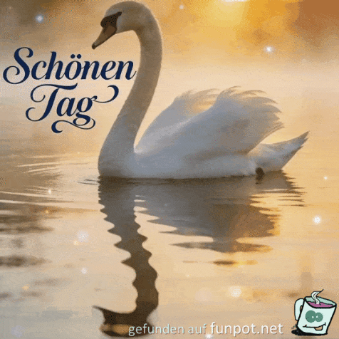 Schöner Tag Schöner Tag