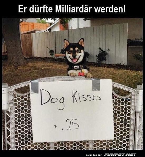 Hundek�sse zum Schn�ppchenpreis!