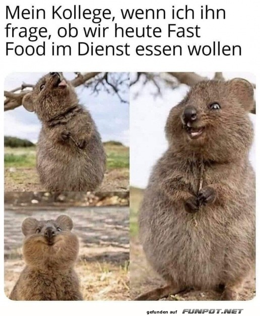 Mein fr�hlicher Kollege