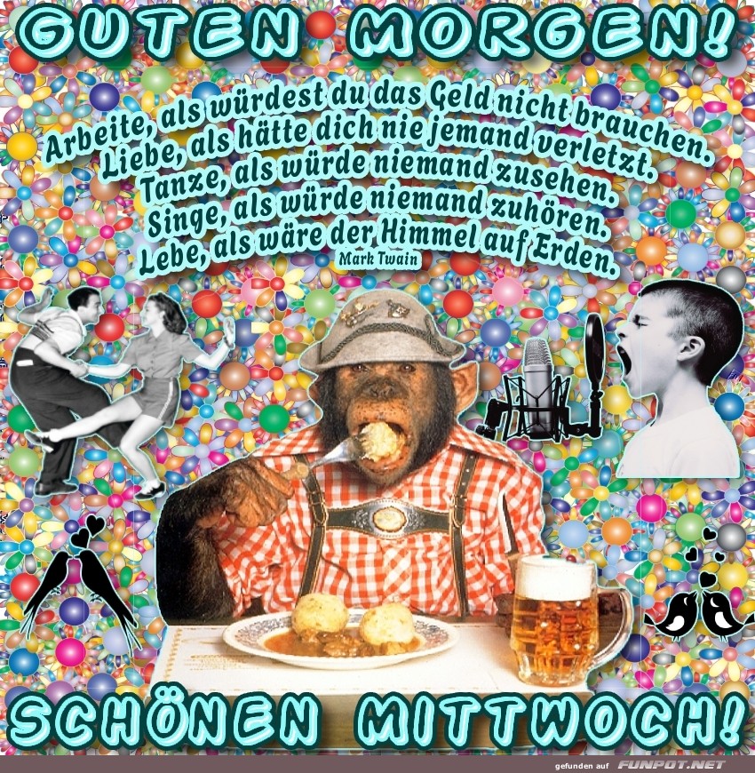 Bärenstarker Start in den Mittwoch!