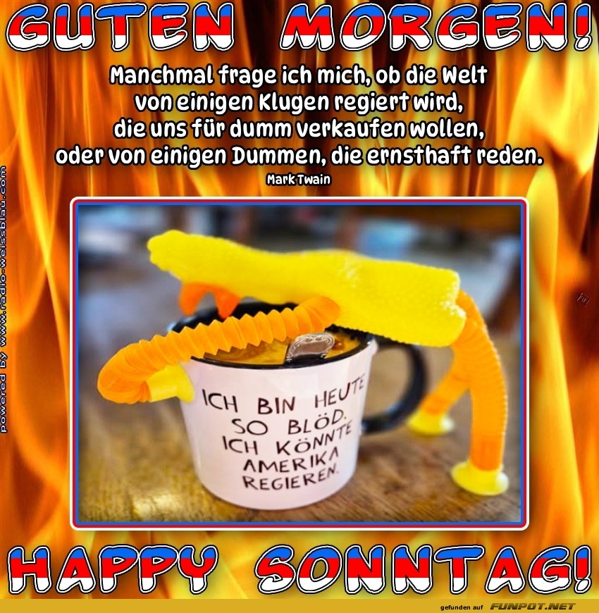 Wenn der Kaffee kl�ger regiert als wir!