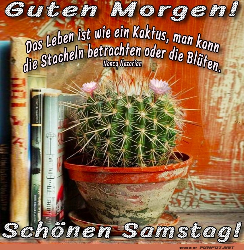 Kaktus-Weisheit und Kaffeeplausch!