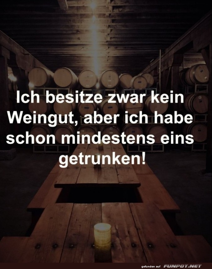 Weinkeller mit Humor und einem Glas Wahrheit