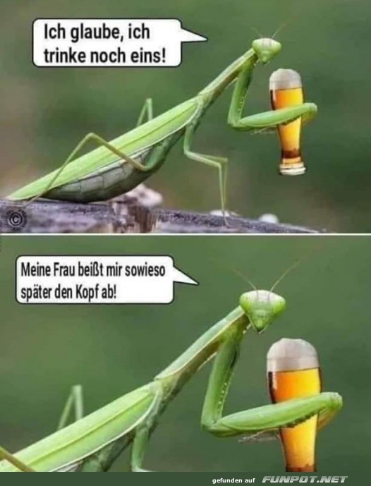 Ich trinke noch eins