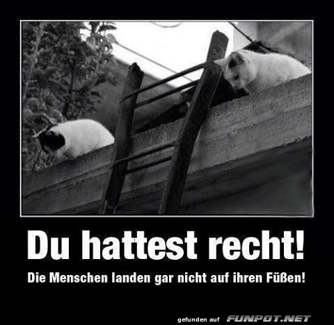 Du hast recht