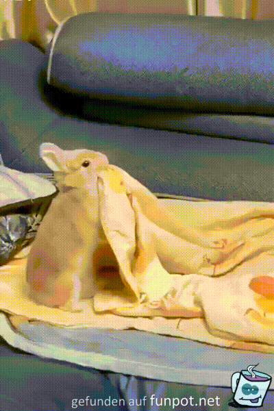 Hase deckt sich zu