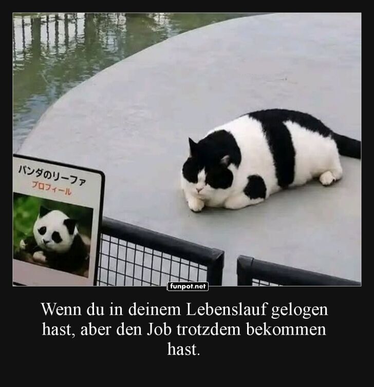 Tarnung auf h�chstem Niveau!