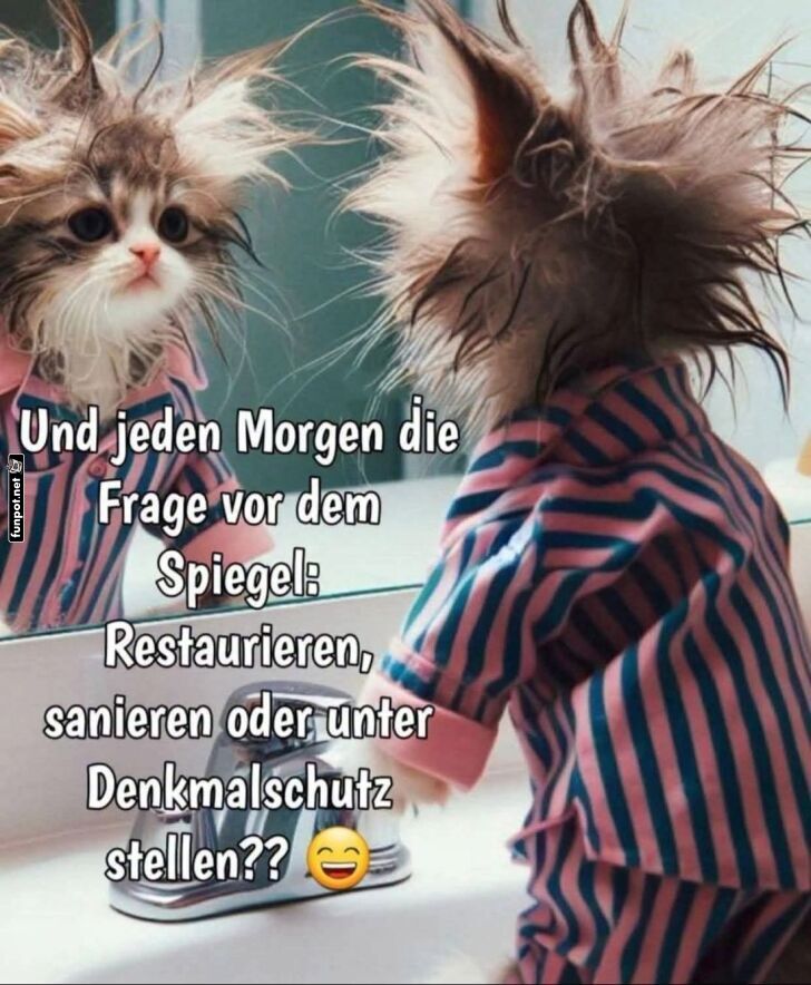 Jeden Morgen