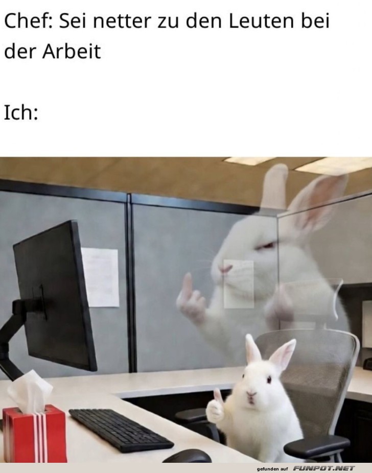 Ein Hase mit Attitüde im Büro!