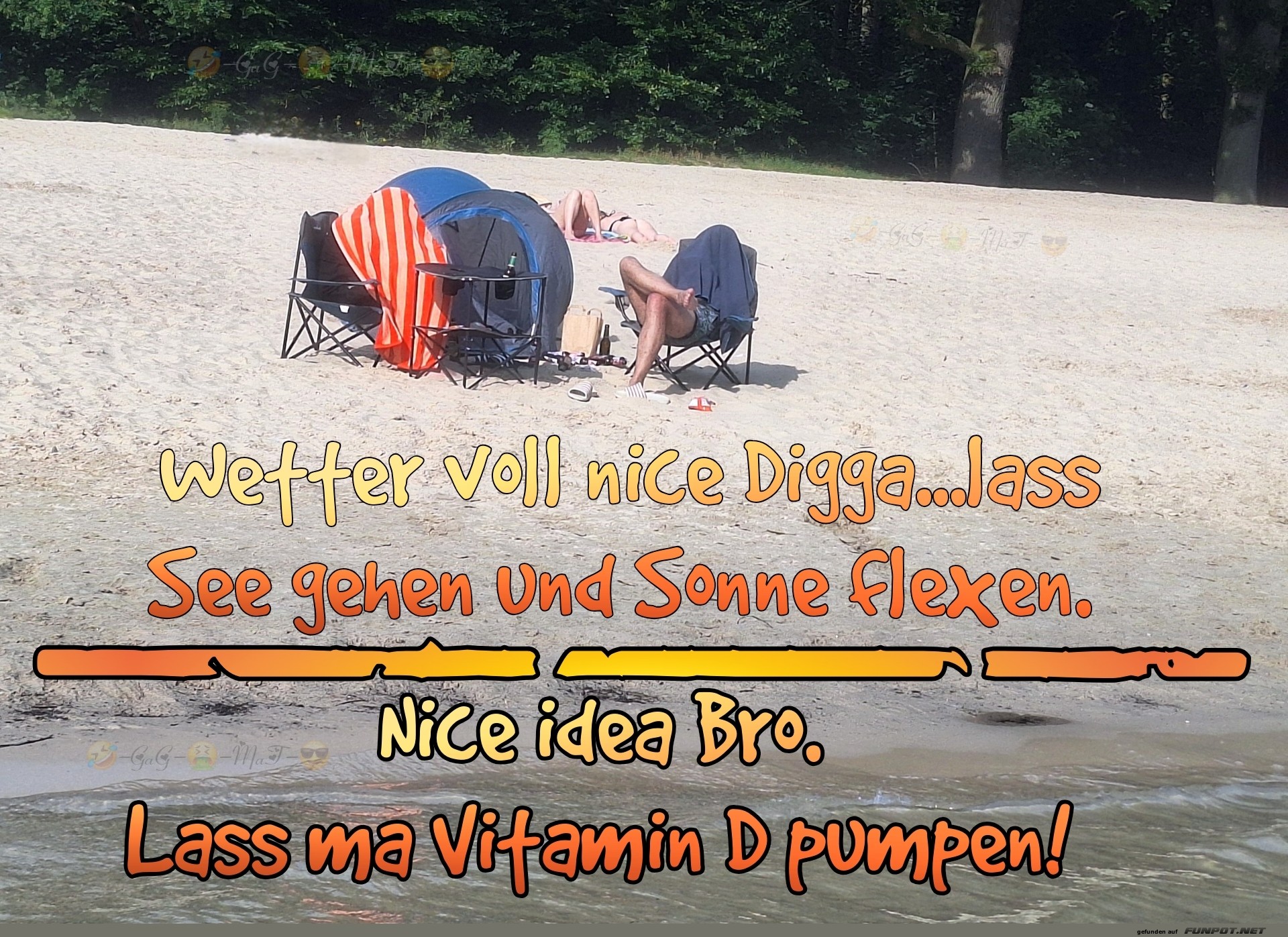 Die Krone der Schöpfung in einem Bild