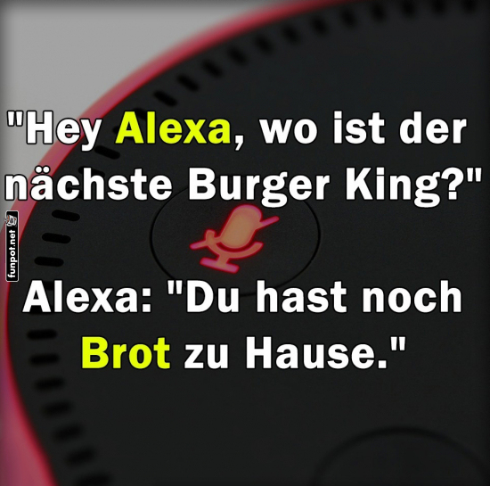 Alexa, die Di�t-Unterst�tzerin