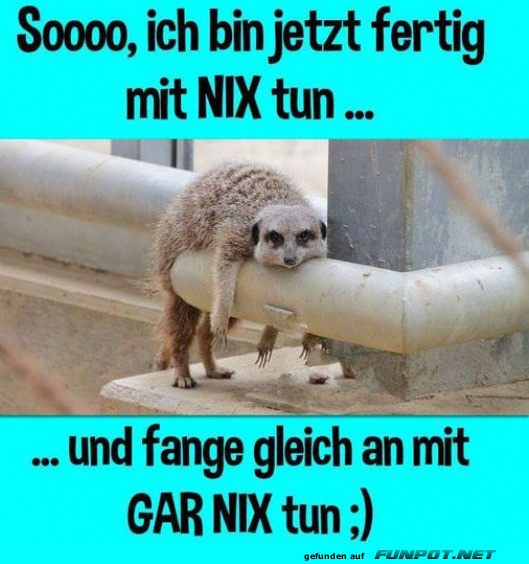 Perfekter Tag des Nichtstuns!