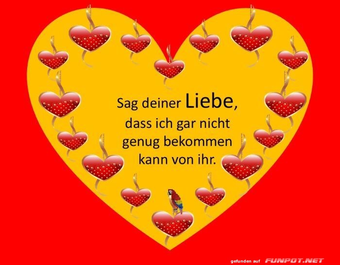 Sag deiner Liebe