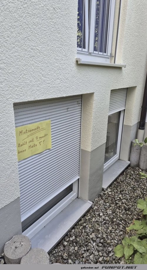 Unerwartete Gäste willkommen!