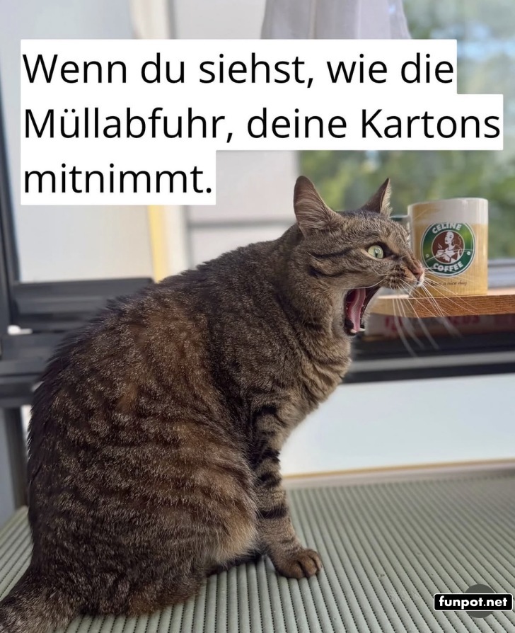 Deine Kartons