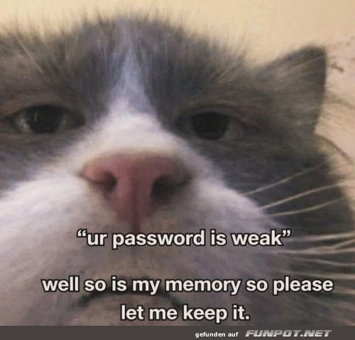 Password-Probleme und Katzenlogik