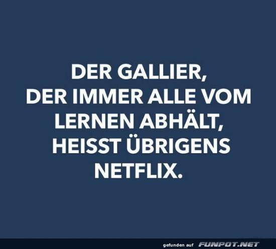Netflix der moderne Asterix