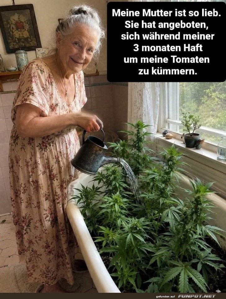 Tomatenpflege oder geheimnisvoller Garten?