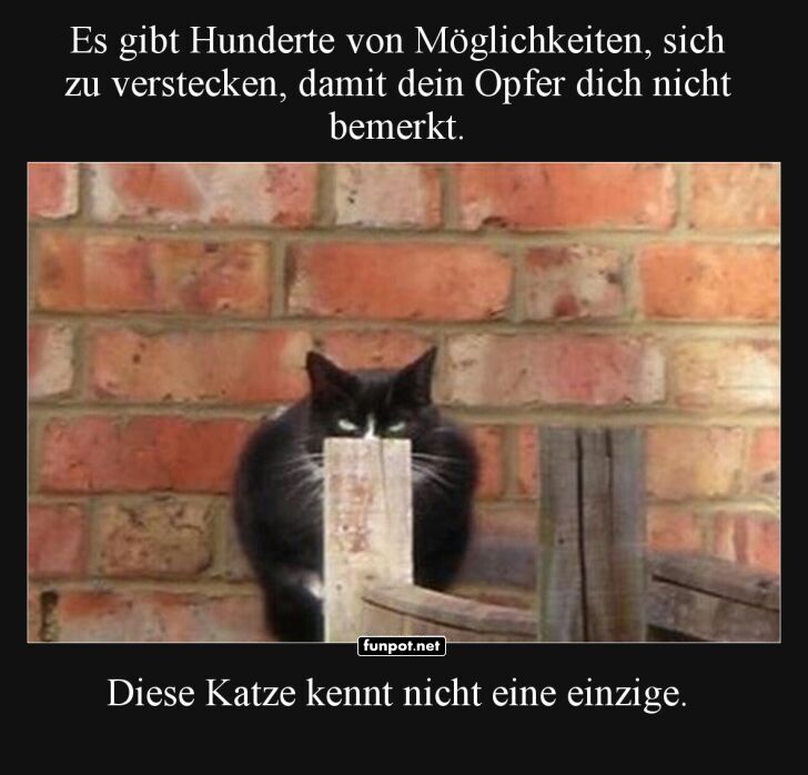 Meister der Tarnung? Nicht ganz!