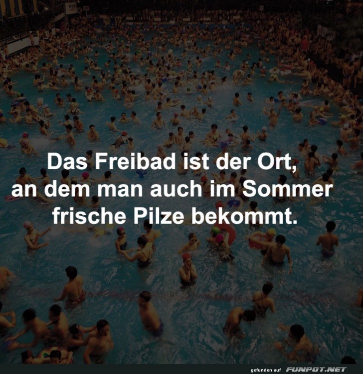 Fr�hliches Planschen im Pilzparadies
