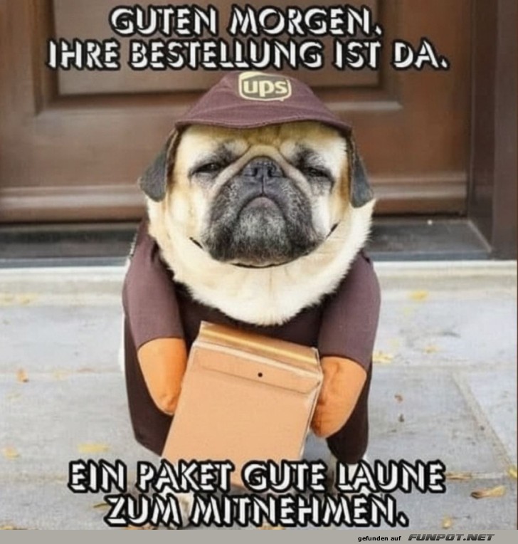 Paketbote auf vier Pfoten