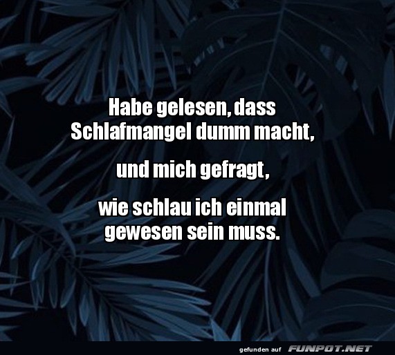 Schlafmangel-Genie oder einfach nur m�de?