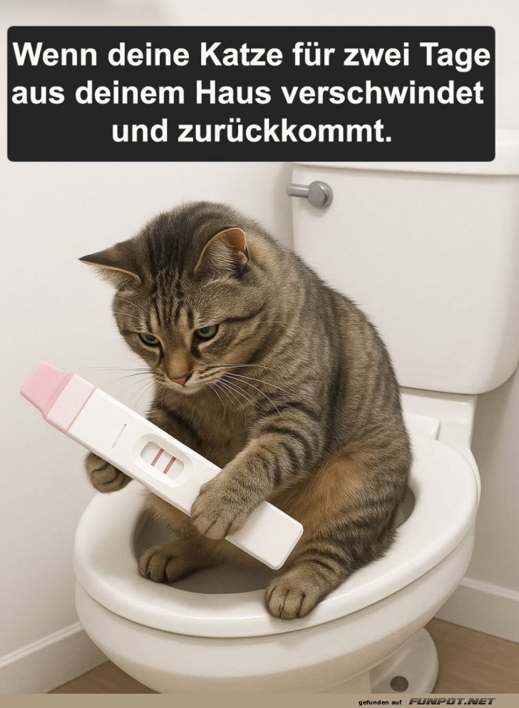 �berraschung auf der Katzentoilette!