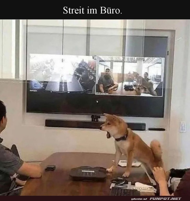 Wenn der B�rohund das Meeting leitet