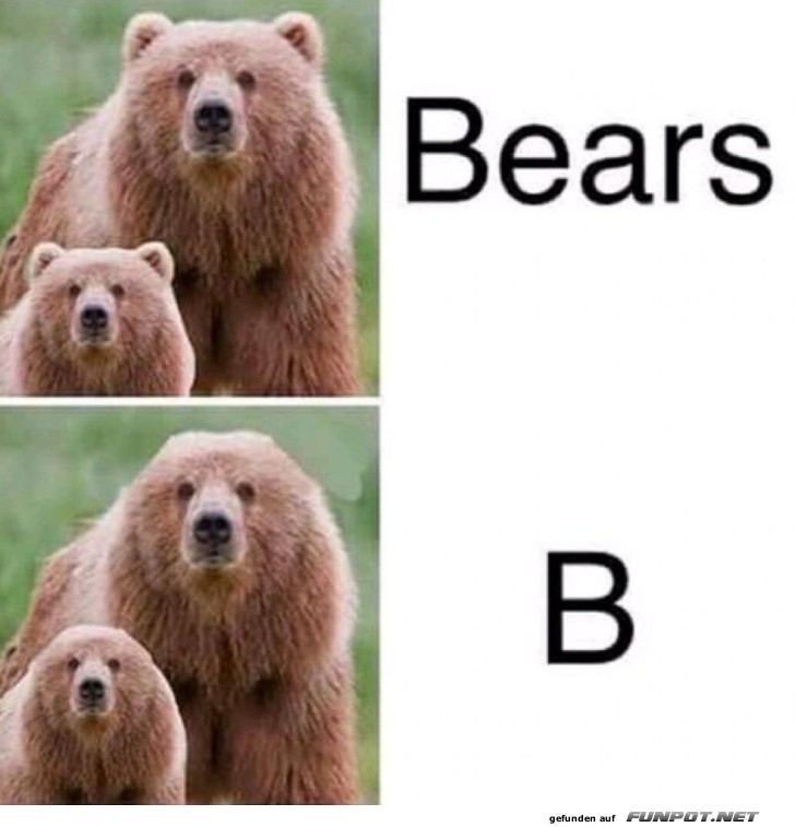 B�rensprache vereinfacht: B ist B�renstark!