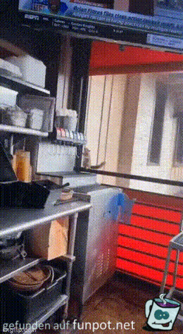 Cooles Hörnchen Cooles Hörnchen