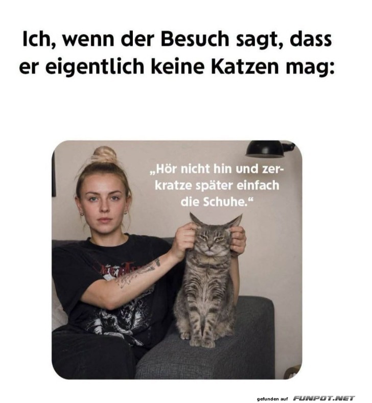 Wenn Besuch Katzen ablehnt, aber Katze anders will!
