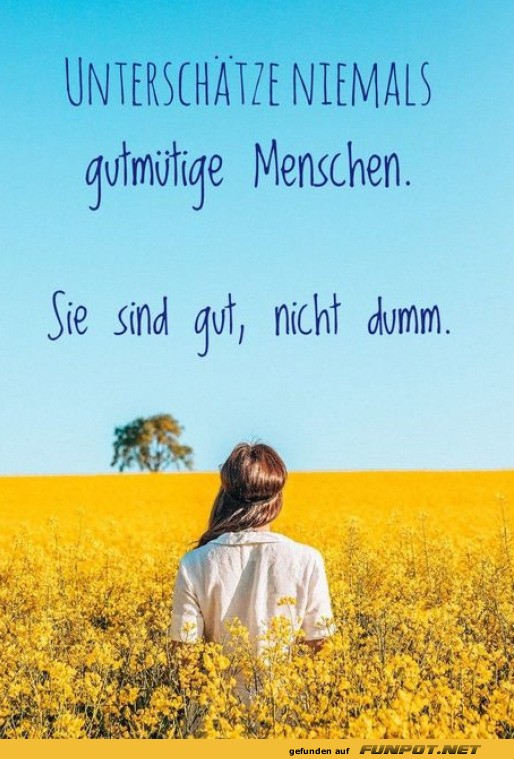 Gut, aber nicht dumm: Feld der Weisheit