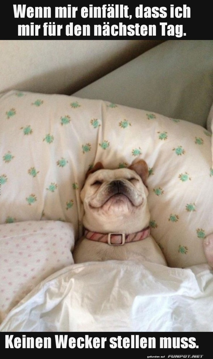 Der ultimative Sonntags-Chillmodus!