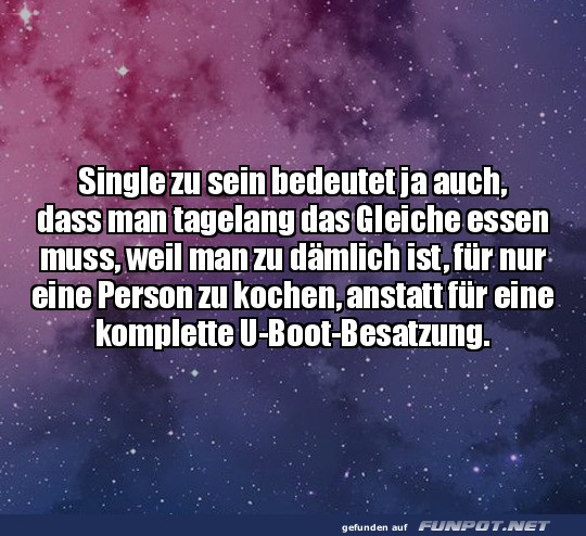 Singles K�che: Ein-Mann-Partymahlzeiten