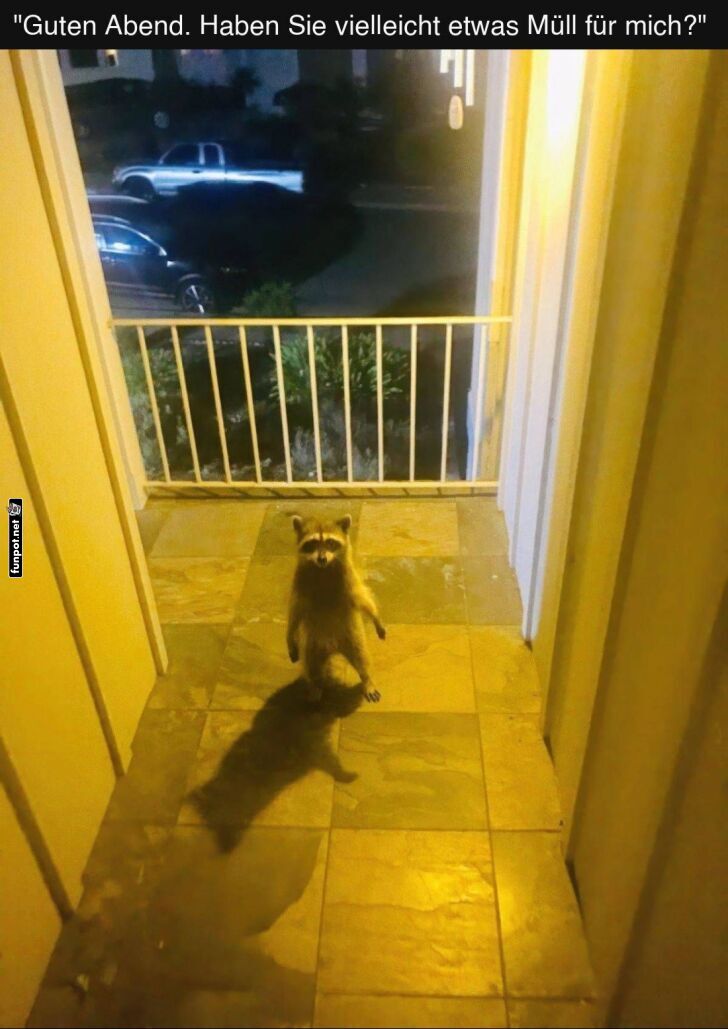 Der höfliche Nachtbesuch
