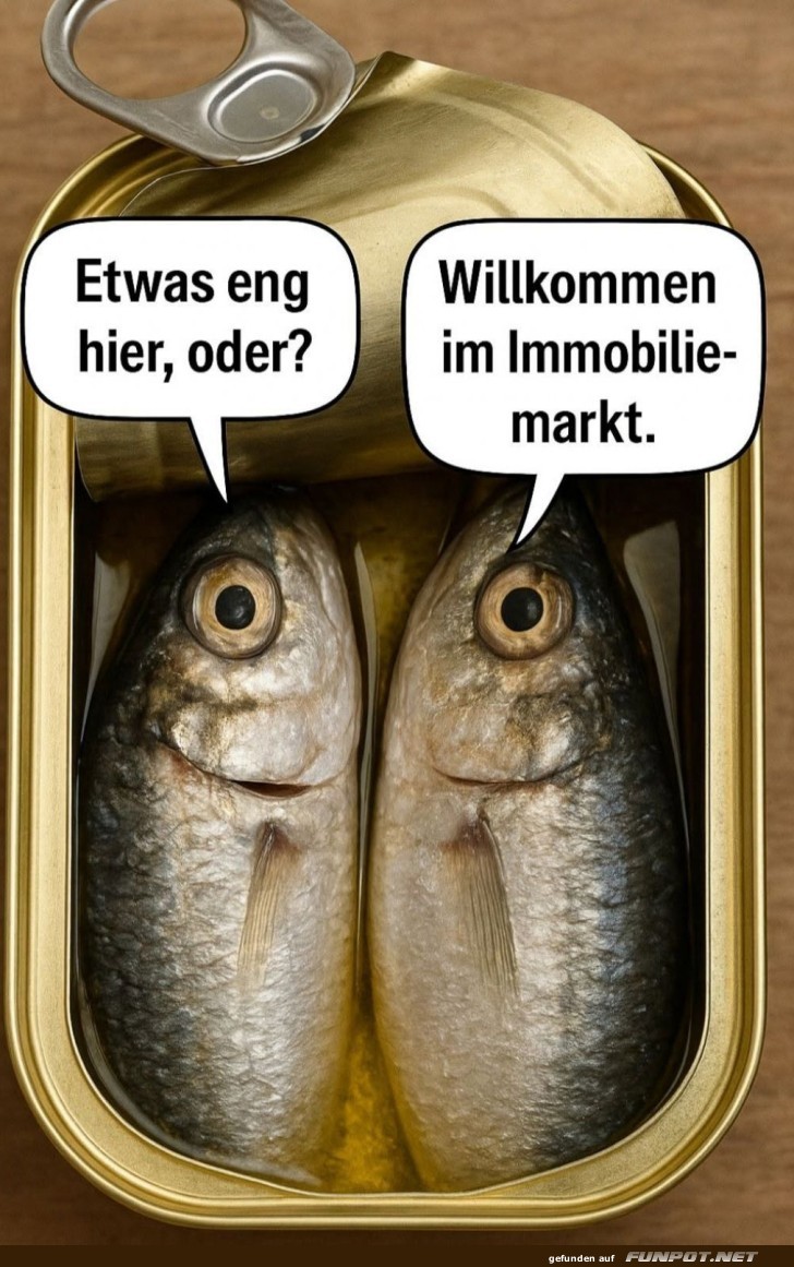 Sardinendose: Der neue Wohntraum!